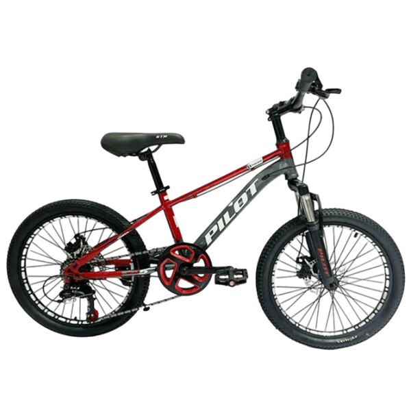 Велосипед Richi Tichi GI-9/2 20" Металл / Красный  photo 2