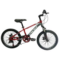 Велосипед Richi Tichi GI-9/2 20" Металл / Красный photo 2