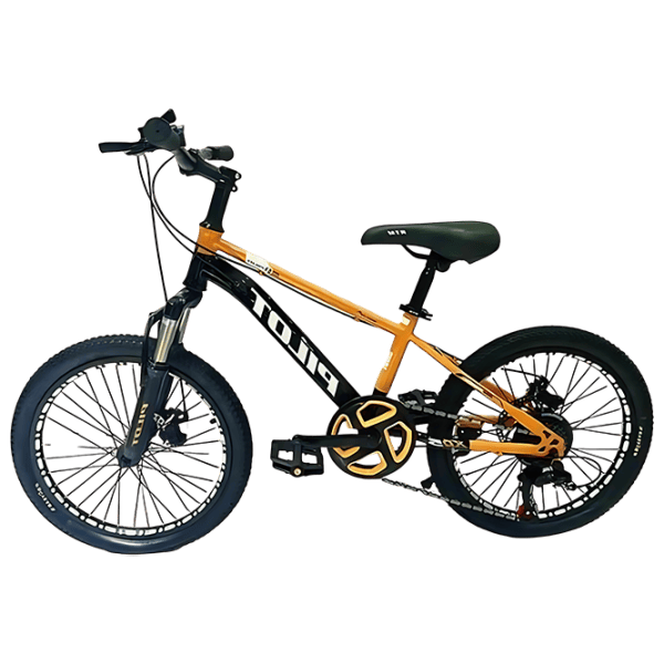 Велосипед Richi Tichi GI-9/3 20" Металл / Оранжевый  photo 1