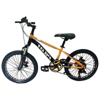 Велосипед Richi Tichi GI-9/3 20" Металл / Оранжевый 