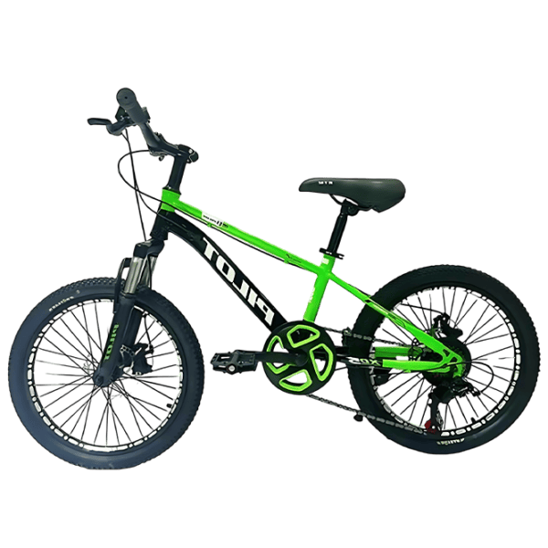 Велосипед Richi Tichi GI-9/1 20" Металл / Зеленый  photo 1