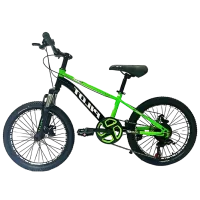 Велосипед Richi Tichi GI-9/1 20" Металл / Зеленый 