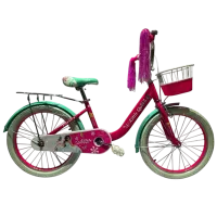 Bicicletă Caider GI-3/2 20" Metal / Green 