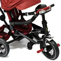 Трицикл Richi Tichi RTM300/3 / Красный photo 5