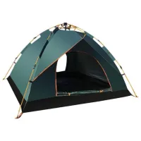 Cort Richi Tichi J1 Black Green