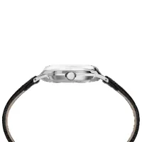 Ceas de mână pentru bărbați Timex TW2R47900 Mecanic / 34 mm photo 2