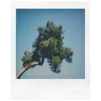 Фотоаппарат моментальной печати Polaroid Go Gen 3 E-Box Bundle (8 Shots) / Белый photo 6