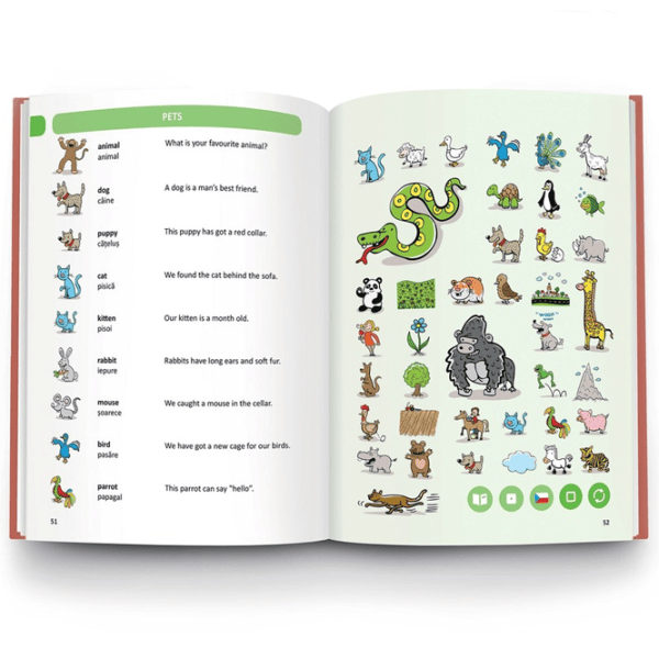 Carte educativă Raspundel Istetel Dictionary 5+/ Dezvoltare photo 2