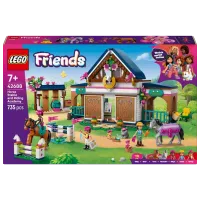 Constructor LEGO Horse Stable and Riding Academy Clasic/ Brown