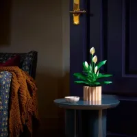 Constructor LEGO Peace Lily Flori/ Green photo 6
