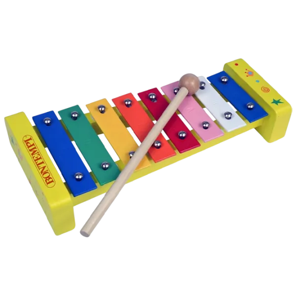 Ксилофон Bontempi 560810 1.5 года / Разноцветный photo 1