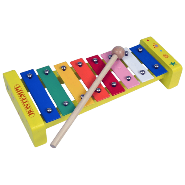 Ксилофон Bontempi 560810 1.5 года / Разноцветный photo 1