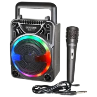 Караоке Bontempi 491000  / Черный