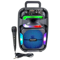 Караоке Bontempi 491030  / Черный