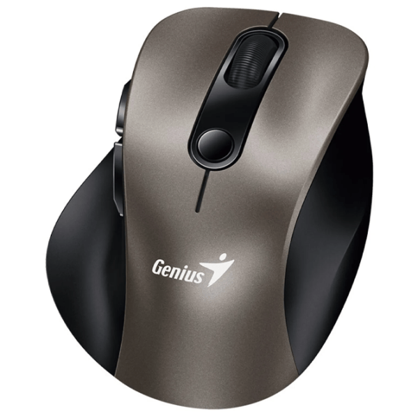 Mouse Genius Ergo 9000S Champagne Titanium photo 2