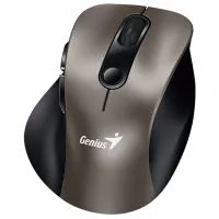 Mouse Genius Ergo 9000S Champagne Titanium photo 2