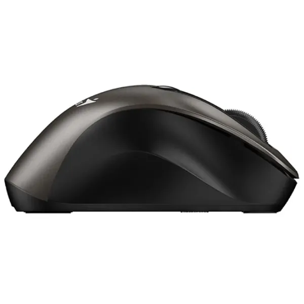 Mouse Genius Ergo 9000S Champagne Titanium photo 4