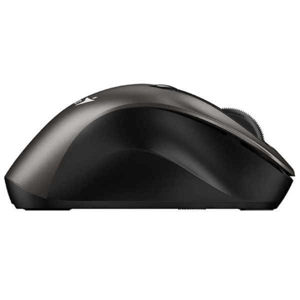 Mouse Genius Ergo 9000S Champagne Titanium photo 4