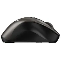 Mouse Genius Ergo 9000S Champagne Titanium photo 4