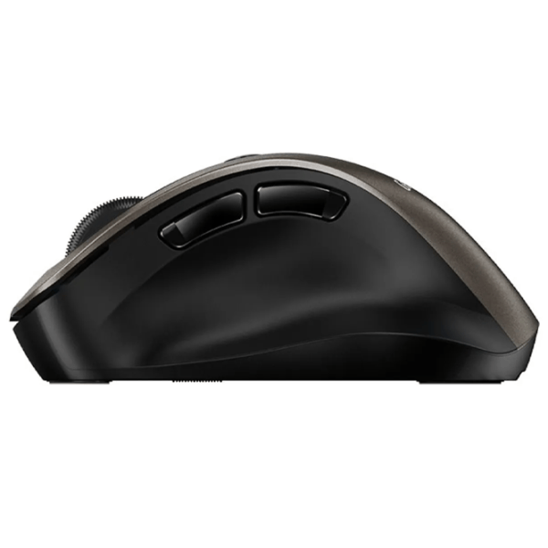 Mouse Genius Ergo 9000S Champagne Titanium photo 5