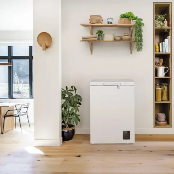 Морозильный ларь Gorenje FH15E6W5 141л / Белый photo 4