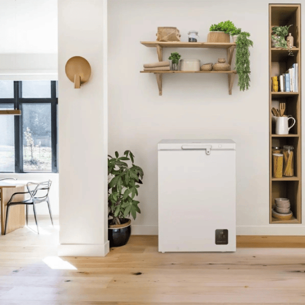 Морозильный ларь Gorenje FH15E6W5 141л / Белый photo 4