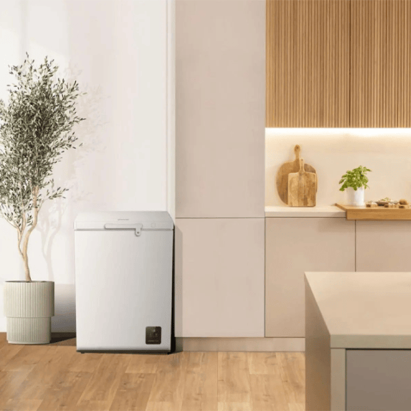 Морозильный ларь Gorenje FH15E6W5 141л / Белый photo 5