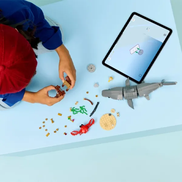 Конструктор LEGO Fierce Shark With A Treasure Chest Животные/ Серый photo 8