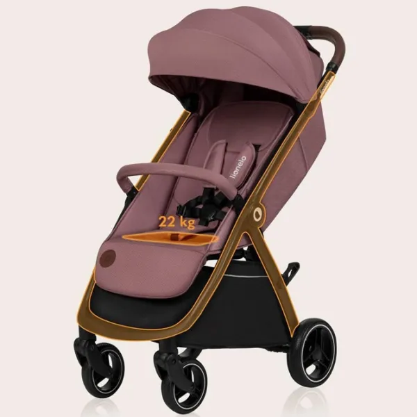 Cărucior pentru copil Lionelo Ingrid LN.223177/ Pink photo 8