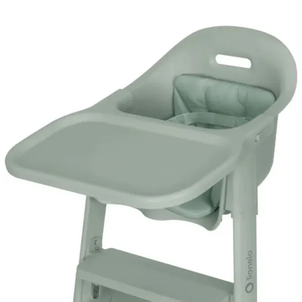 Scaun de masă Lionelo Beny (LN.233550) Clasic/ 6 luni / Green  photo 10