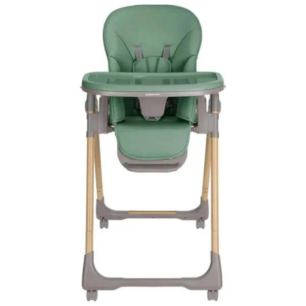 Стульчик для кормления Kikka Boo Olive (KB.122493) Классический/ 0 месяцев / Мятный  photo 3