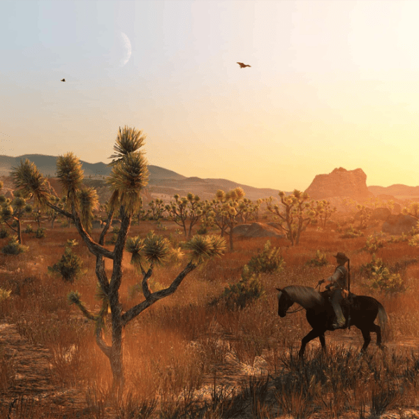 Red Dead Redemption Game for Nintendo Switch 2 photo 9