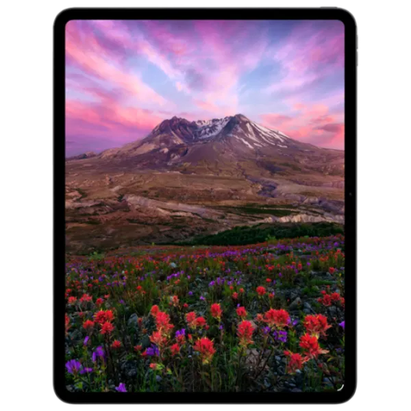 Tabletă Apple iPad Pro 2025 11" 16 GB/1 TB 5G ME2W4TY/A Space Black photo 3