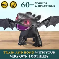 Jucărie interactivă Spin Master How to Train Your Dragon Tame and Train 6072727 4+ / Multicolor Black photo 7
