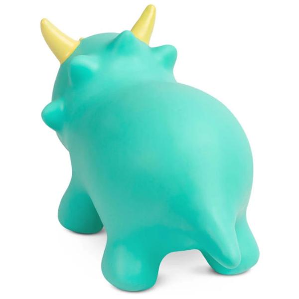 Jumper Caretero Dino (CT.222349) / Turquoise photo 2