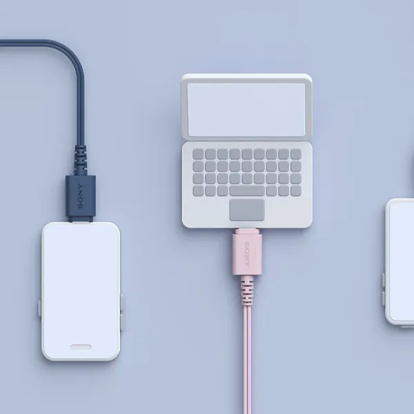 Наушники Sony IER-EX15C Синий Проводная/ Персональный photo 3
