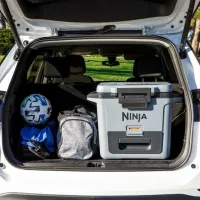 Container izotermic Ninja FB131EUGY 30l / / Gray photo 6