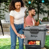 Container izotermic Ninja FB131EUGY 30l / / Gray photo 10