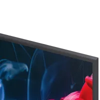 Televizor LG 43QNED80B6B 43" / MiniLED / 4K / Smart TV / Black photo 5