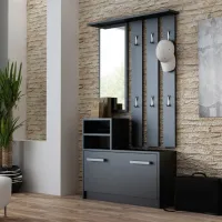 Dulap pentru antreu TopEshop Gar LPAL / Black photo 5