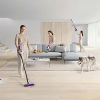 Aspirator vertical Dyson V8 Advanced 425 W / Multicolor Silver photo 9