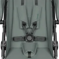 Детская коляска Lionelo Emerald LN.234476/ Зеленый photo 10