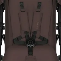 Детская коляска Lionelo Annet Plus LN.234475/ Коричневый photo 10