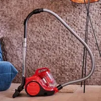 Aspirator Rowenta RO2913EA / Gray Red photo 5