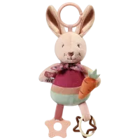 Мягкая игрушка BabyOno Rabbit Karo 1685 0+ / Разноцветный
