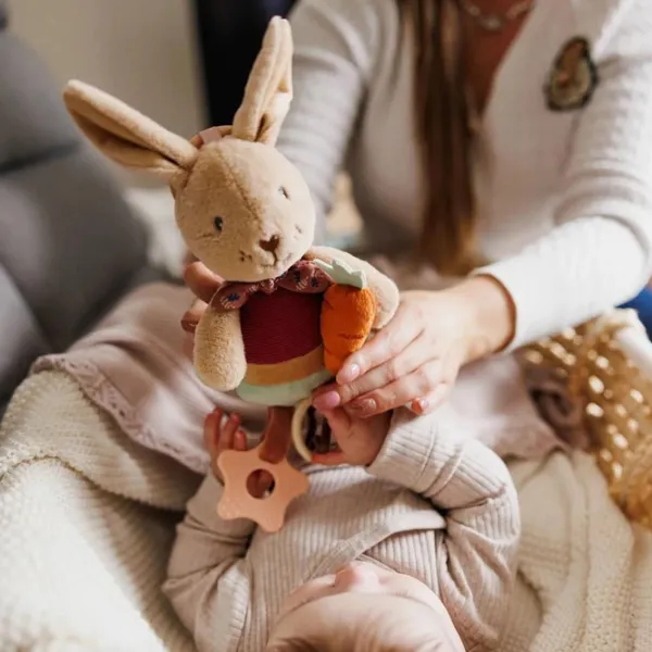 Мягкая игрушка BabyOno Rabbit Karo 1685 0+ / Разноцветный photo 2