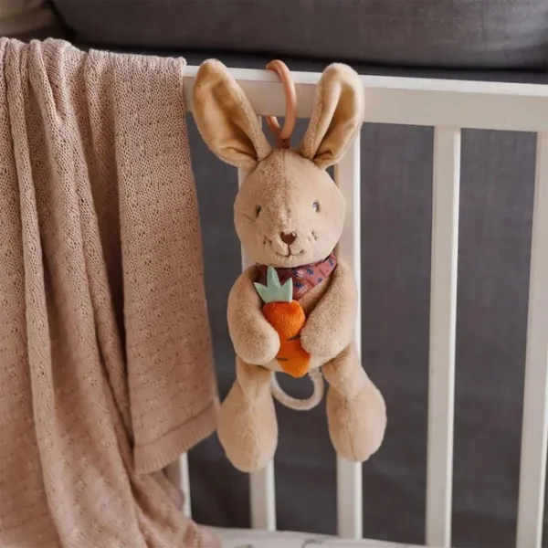 Мягкая игрушка BabyOno Rabbit Karo 1686 0+ / Разноцветный photo 2