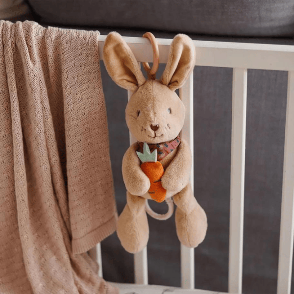 Мягкая игрушка BabyOno Rabbit Karo 1686 0+ / Разноцветный photo 2