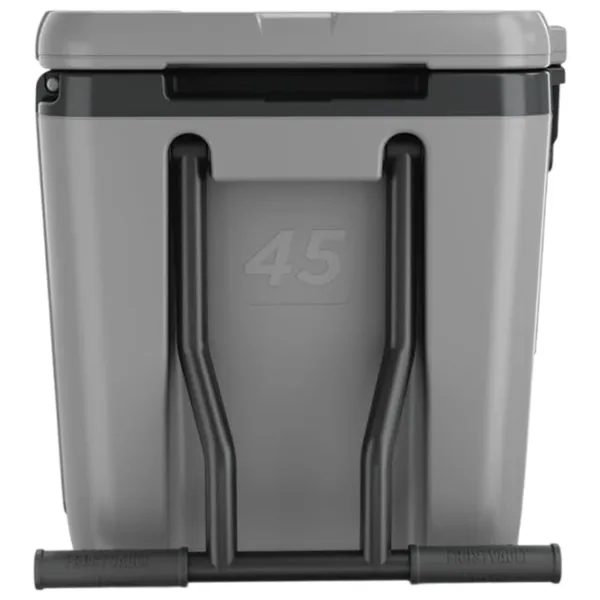 Container izotermic Ninja FB245EUGY 42l / / Gray photo 4