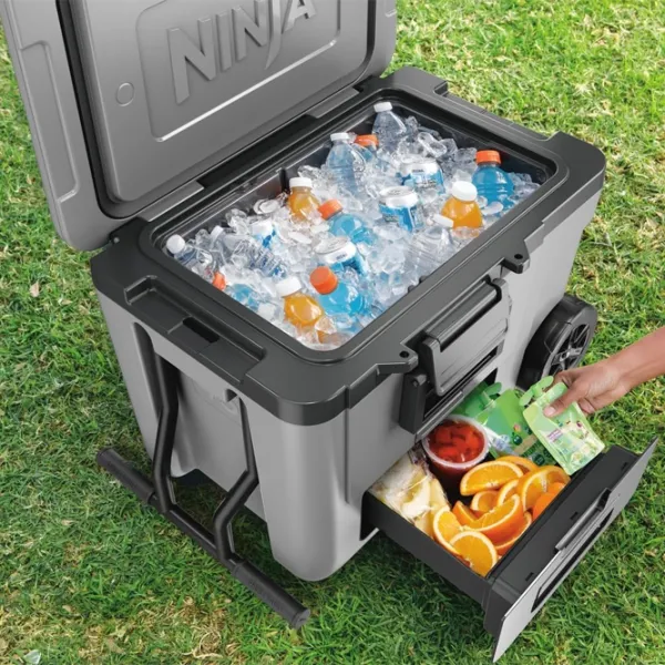 Container izotermic Ninja FB245EUGY 42l / / Gray photo 7